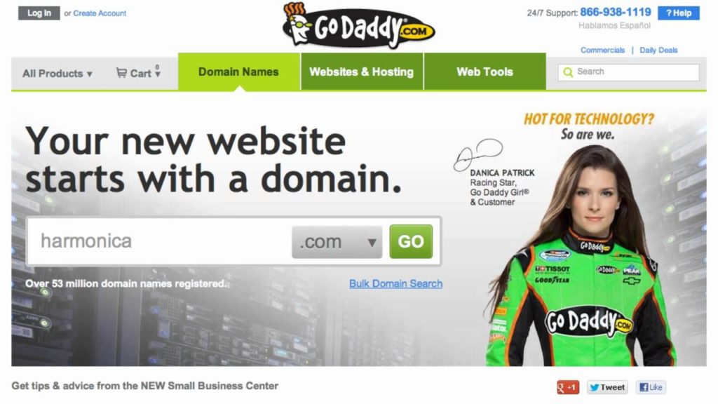 Domain Name Registration