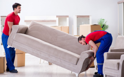 Environmental Considerations of Hamilton Furniture Movers