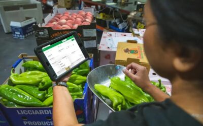 Revolutionizing Farm-to-Table: The Power of Fresh Produce Management Software